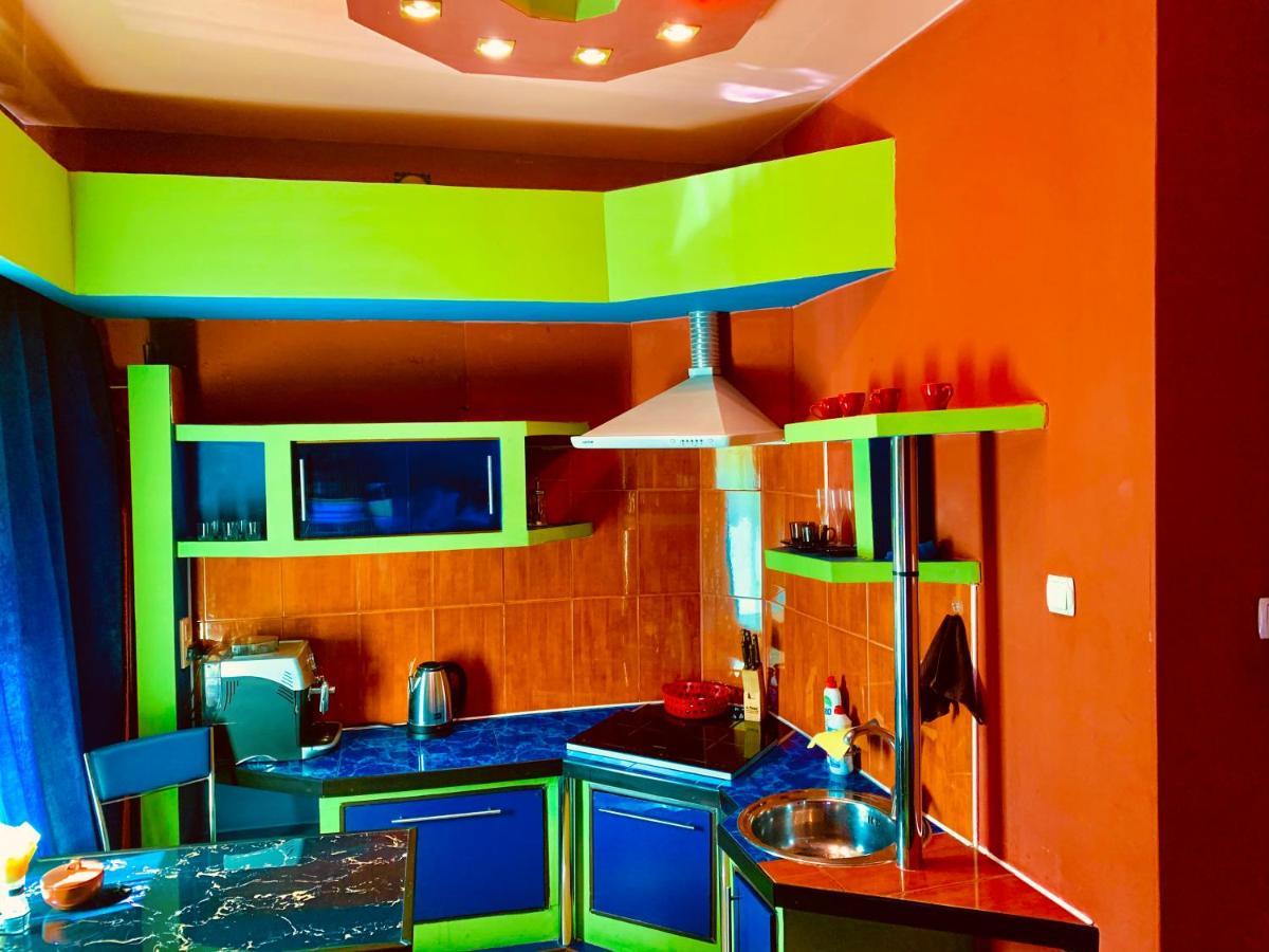 One-Bedroom Apartment On Gagarina ハルキウ エクステリア 写真